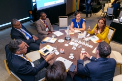CREF 2019: Island Resiliency Action Challenge