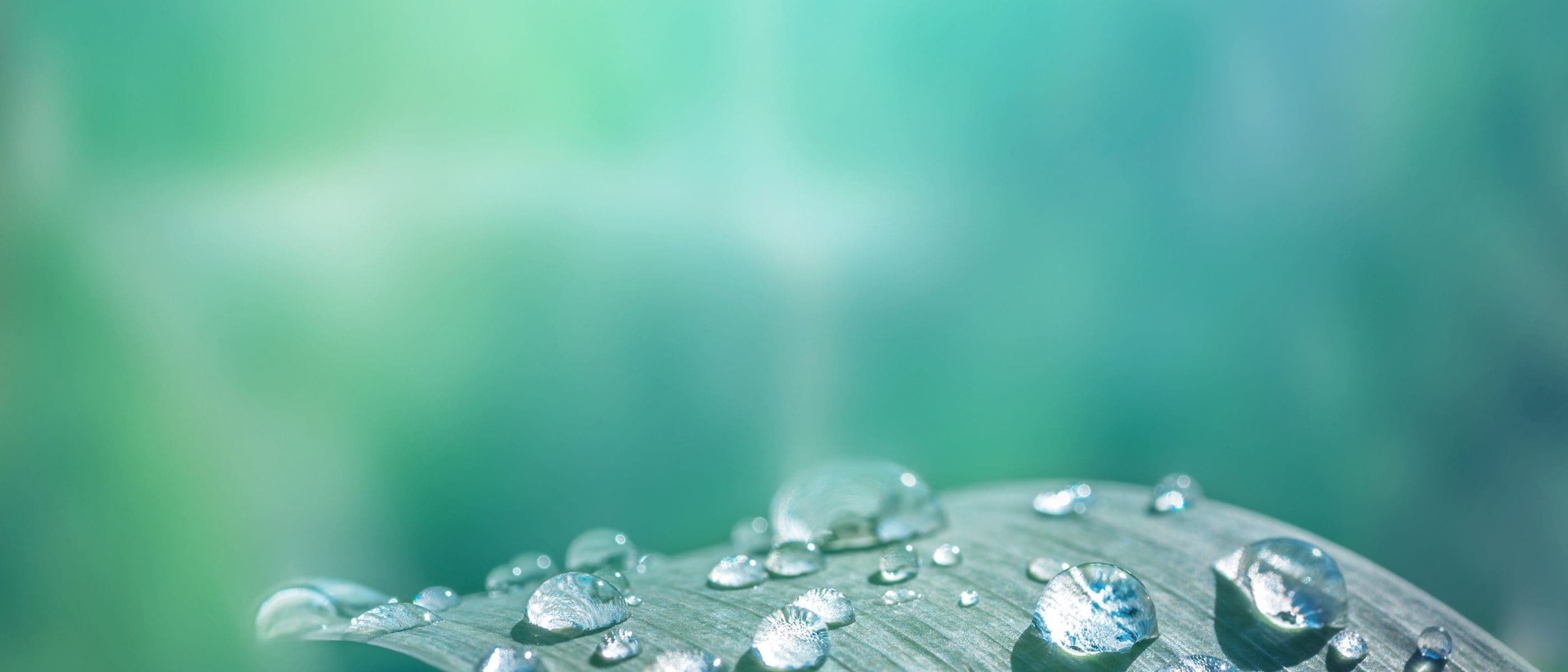 iStock 479469520 scaled