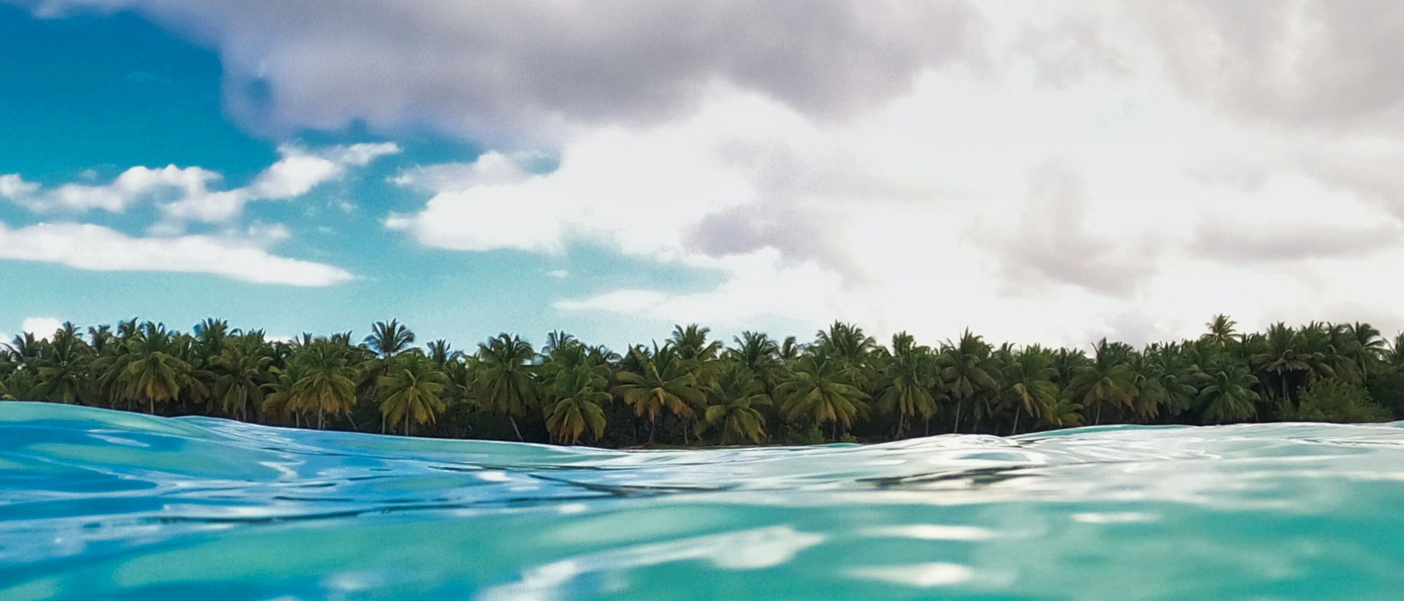 bennet robin fabian cszxqLVP6aA unsplash scaled