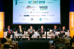 Towards a Clean & Resilient Grid Panel