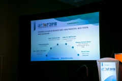 Towards a Clean & Resilient Grid Panel