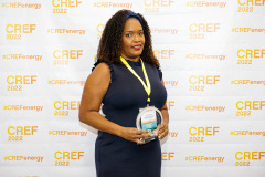Best Energy Efficiency Project